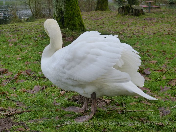 Wandertag 2015 - 020.jpg